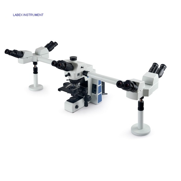 RX50D05 Multi-viewing lab microscope